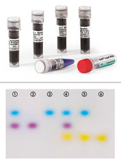 Roti Load DNA-Small DNAse-Frei 5 x