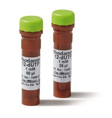 Rhodamin-12-dUTP 25 nmol