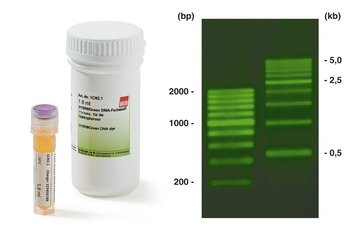 BrightGreen DNA-Farbstoff