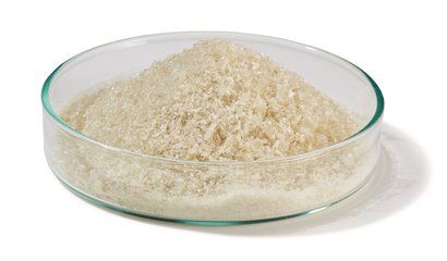 BSA, proteasefrei, US-Origin 10 g