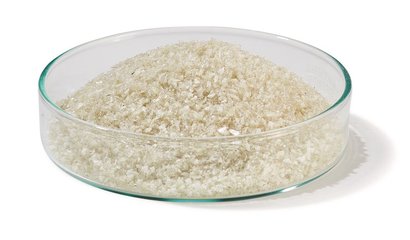 BSA, pH 5.2, US-Origin 10 g