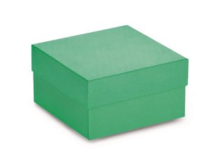 Cryobox Rotilabo 133x133mm, grün, w