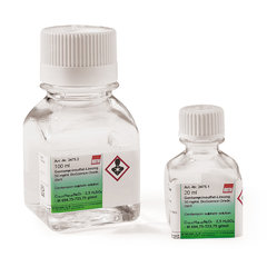 Gentamycinlösung, steril - 100 ml