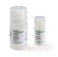 Proteinase K - Lösung 1 ml