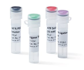 Ligase T4 2500 U