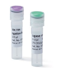 Ligase Tth 250 U