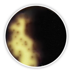 Oxford-Listeria-Agar 500 g