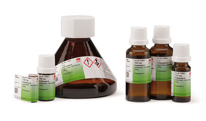 Proteinase K 1 g