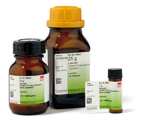 Lysozym 1 g
