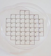 Petri Sticker Quadratraster-100 36S
