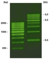 ROTI-Load DNAstain 1 Green