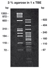 Agarose LM/PCR Roti®garose 100g
