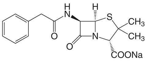 Penicillin G - Natriumsalz 100g