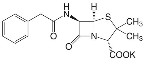Penicillin G - Kaliumsalz 100g