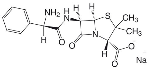 Ampicillin Natriumsalz >=91 % | 10g