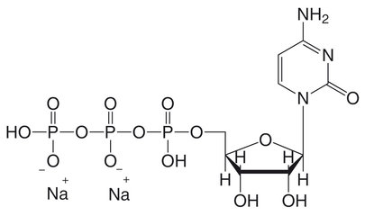 CTP-Lyophilisat >98 % 10 g