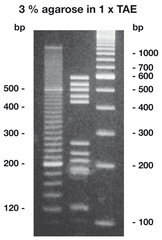 Agarose High Resolution Roti®garose