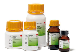 Pepsin 1 kg