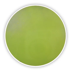 Cetrimid-Agar (Basis) 500 g