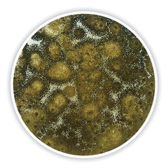 Kartoffelextrakt-Glucose-Agar 1 kg