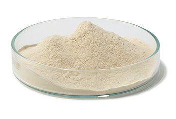 Caso Bouillon | | 5kg