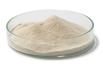 Kristallviolett-Galle-Glucose-Agar