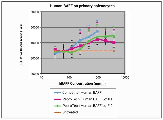 1 MG HUMAN BAFF PEPROTECH