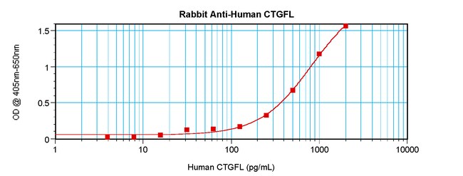 100UG ANTI-HUM CTGFL/WISP-2