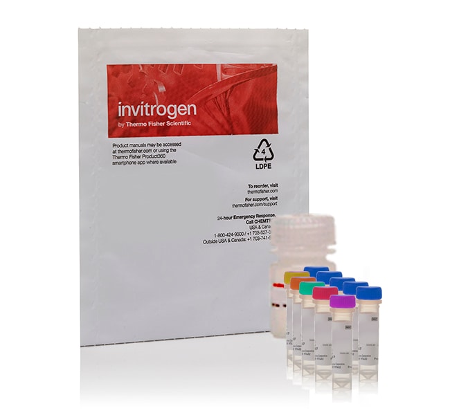 Amplex Red Phospholipase D Assay Kit 500