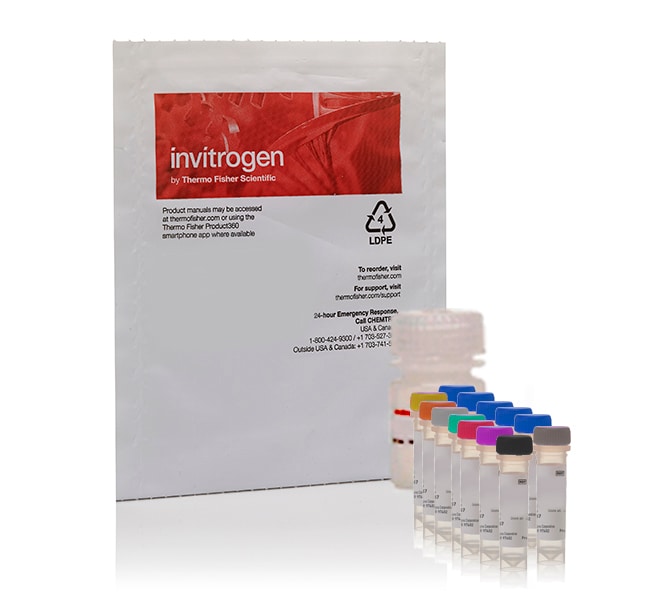 Amplex Red Sphingomyelinase Assay Kit 50