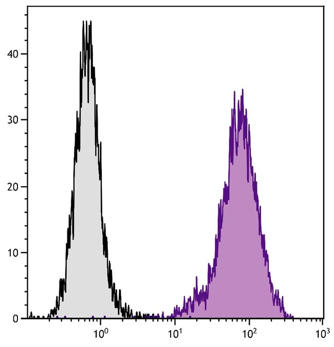 CD107B/LAMP-2 RAT ANTI-MOUSE MAB (CLONE