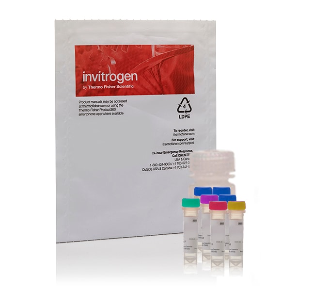 Amplex Red Catalase Assay Kit 400 assays