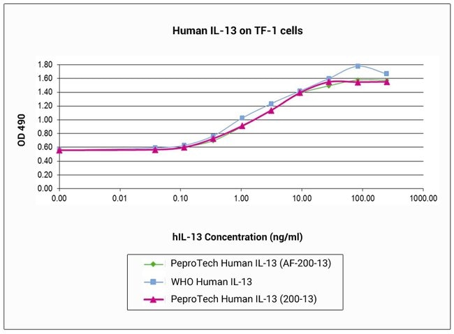 100UG ANIMAL-FREE REC HUMAN IL-13