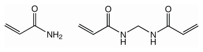 100GR Acrylamide/Bisacrylamide 19:1, pow