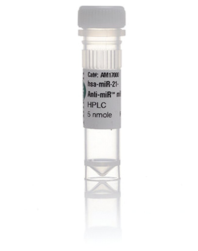 Anti-miR miRNA-Inhibitor, Menge: 20 nmol