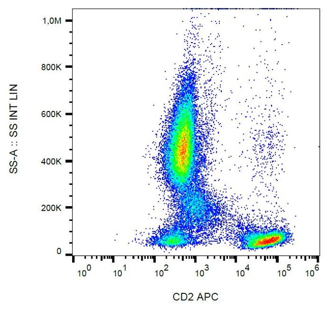 Anti-CD2 Monoclonal Antibody, APC