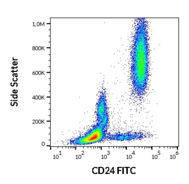 Anti-CD24 Monoclonal Antibody, FITC