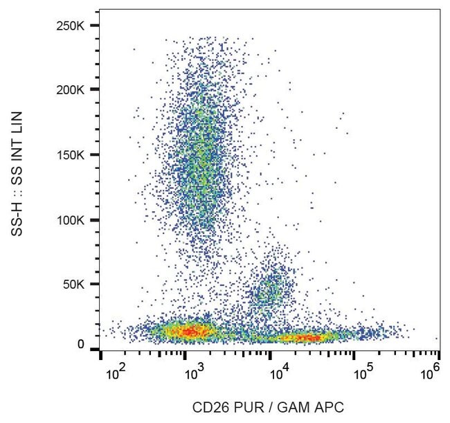 Anti-CD26 Monoclonal Antibody