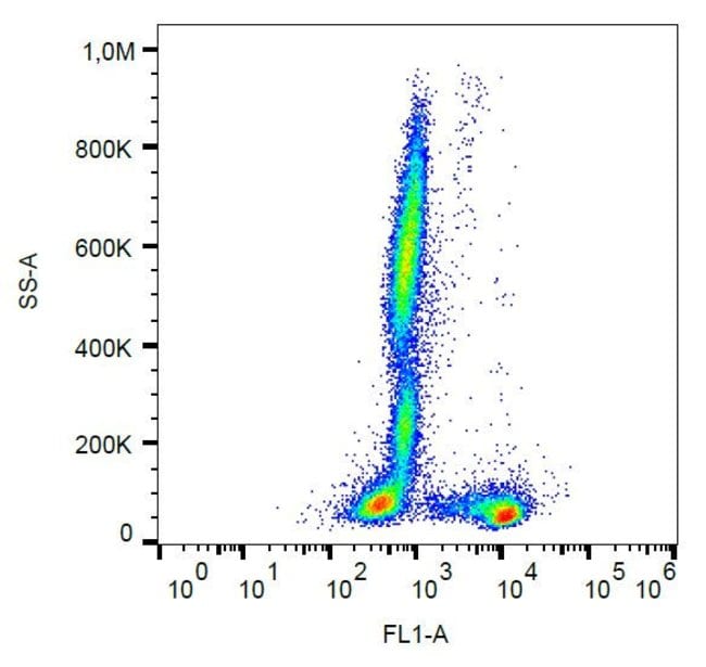 Anti-CD27 Monoclonal Antibody,