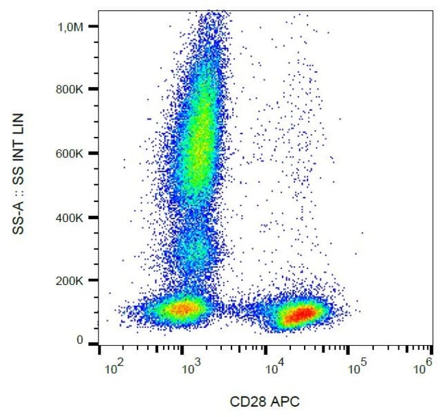 Anti-CD28 Monoclonal Antibody,