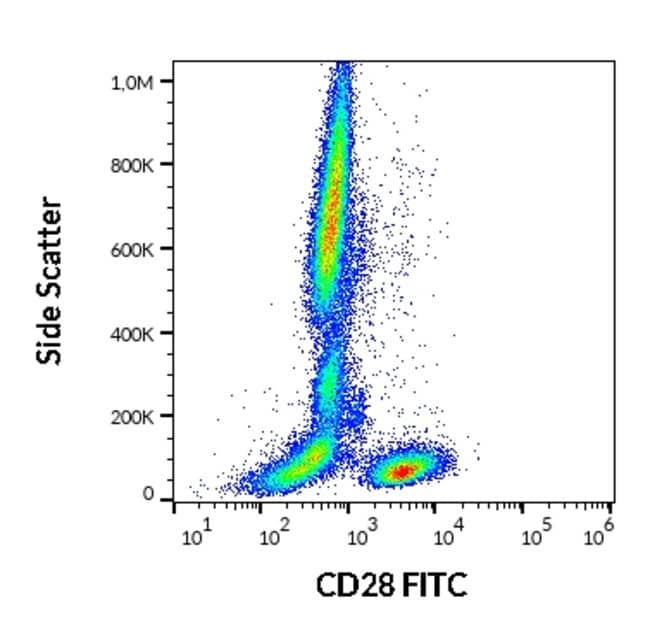 Anti-CD34 Monoclonal Antibody