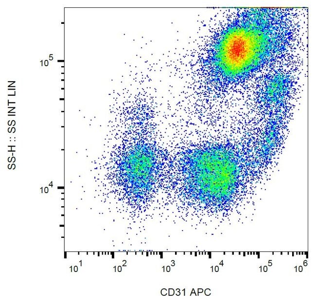 Anti-CD31 Monoclonal Antibody,