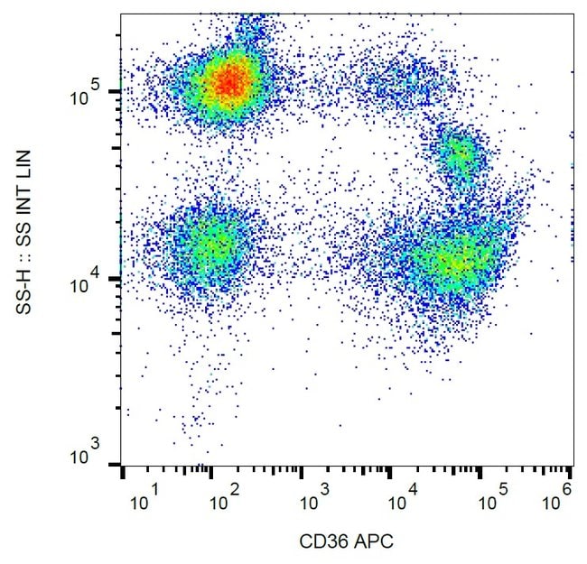 Anti-CD36 Monoclonal Antibody,