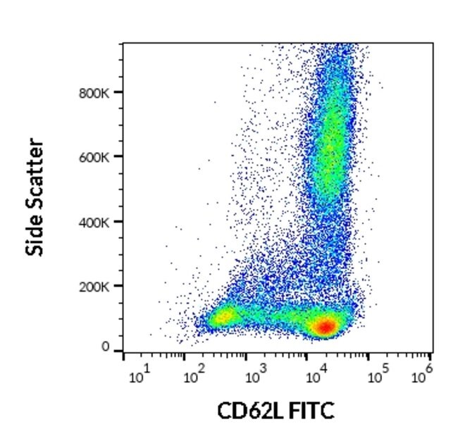 Anti-CD62L Monoclonal Antibody,