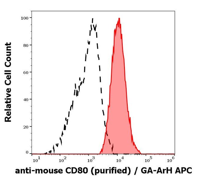 Anti-CD80 Monoclonal Antibody