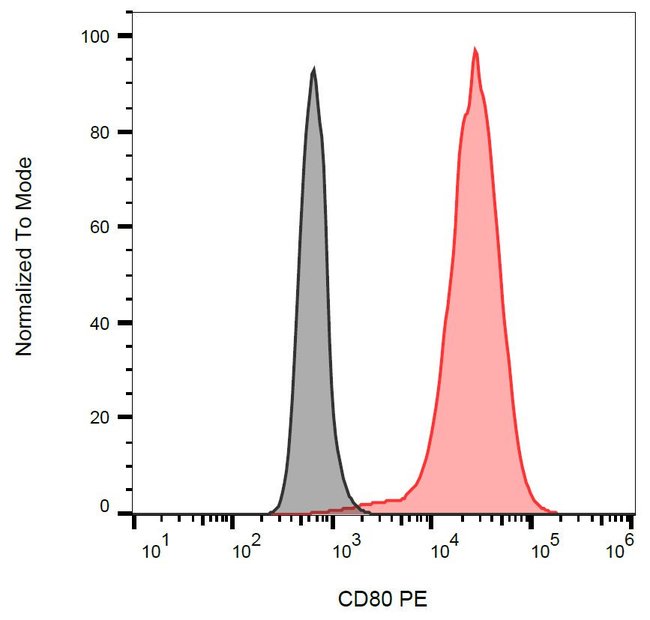 Anti-CD80 Monoclonal Antibody,