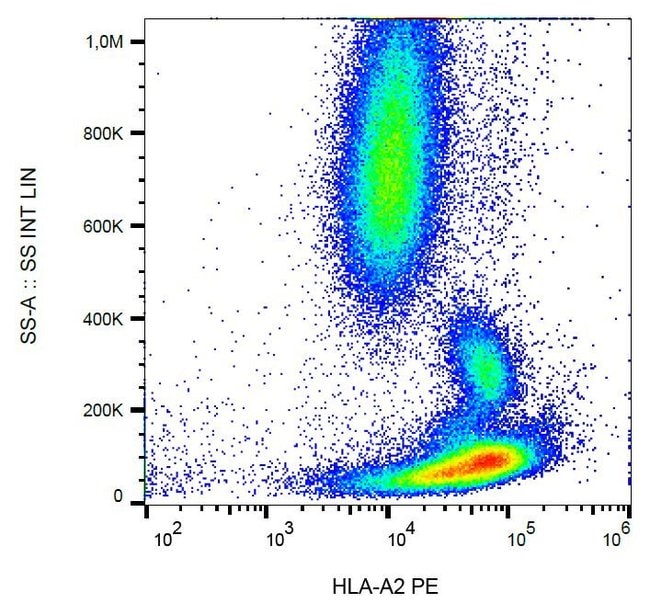 Anti-HLA-A2 Monoclonal Antibody,