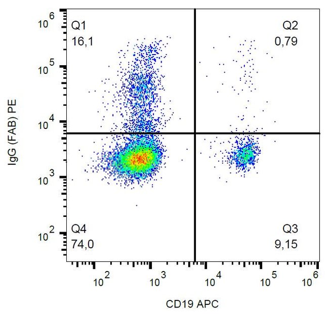 Anti-IgG (Fab) Monoclonal Secondary