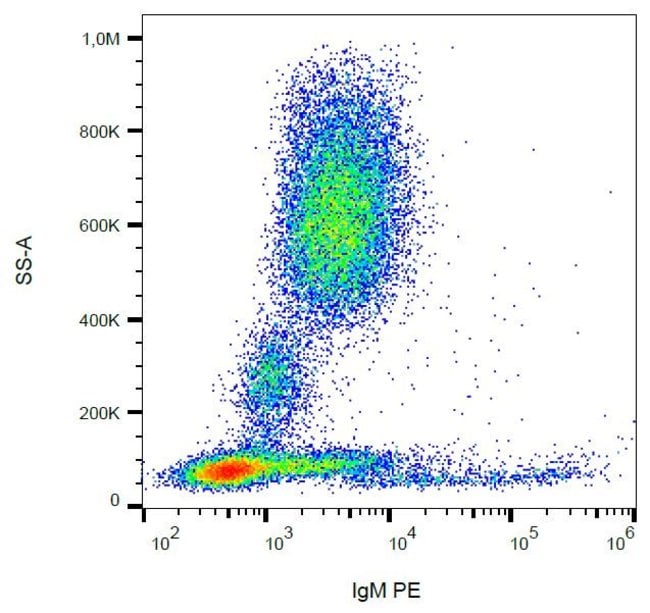 Anti-IgM Monoclonal Secondary