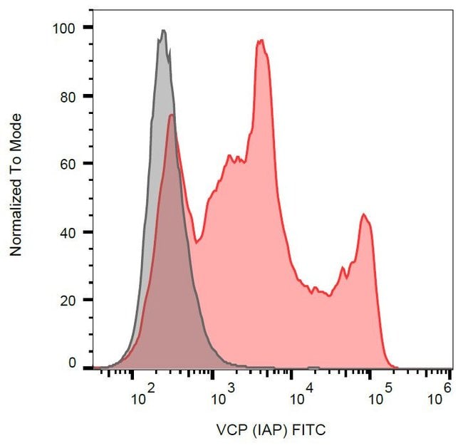 Anti-Intra-Acrosomal Protein Monoclonal